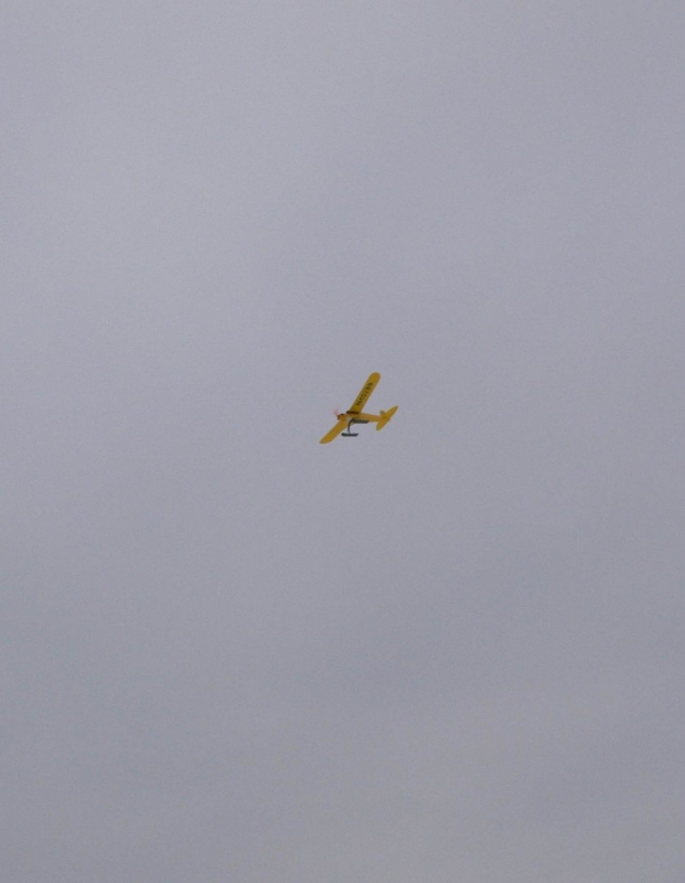 Piper Cub J-3