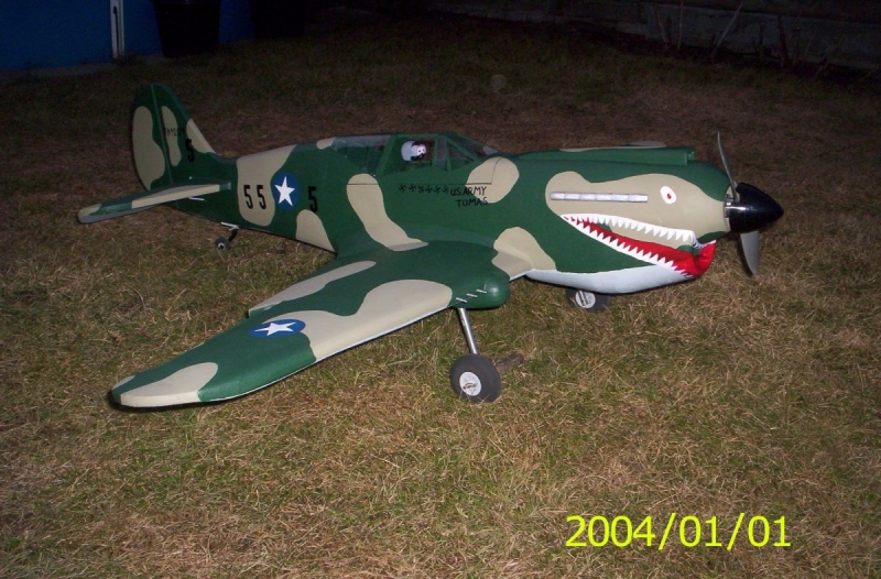 P-40 WARHAWK