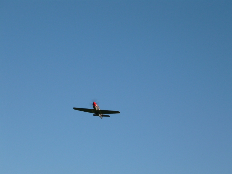 P-51B Mustang