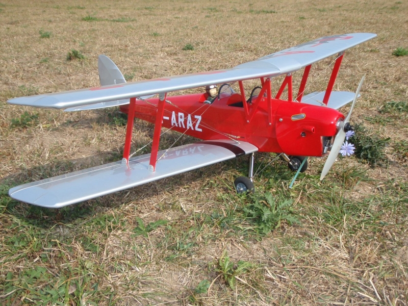 Tiger Moth 30