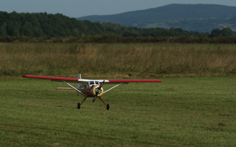 DHC 2  Beaver